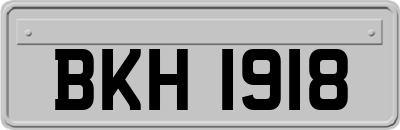 BKH1918