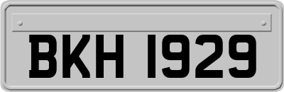 BKH1929