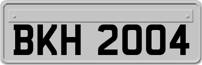 BKH2004