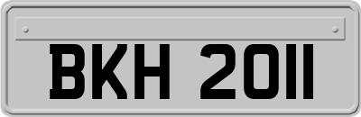 BKH2011