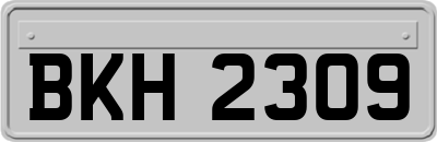 BKH2309