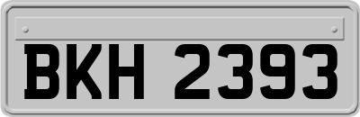 BKH2393