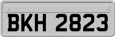 BKH2823
