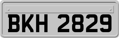 BKH2829