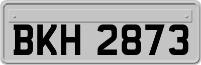 BKH2873