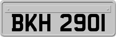 BKH2901