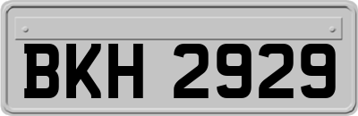 BKH2929