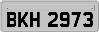 BKH2973