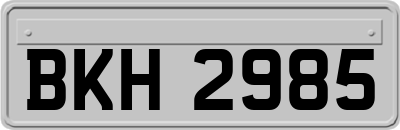 BKH2985