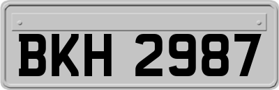 BKH2987