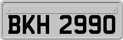 BKH2990