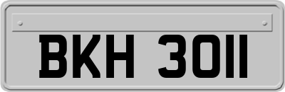 BKH3011