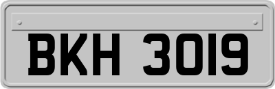 BKH3019