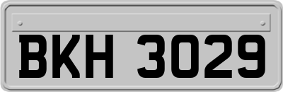 BKH3029