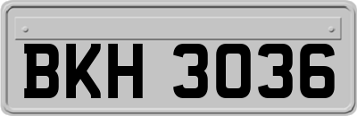 BKH3036