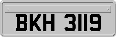 BKH3119