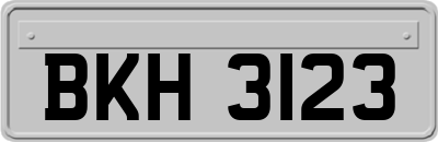 BKH3123