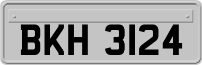 BKH3124