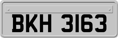 BKH3163