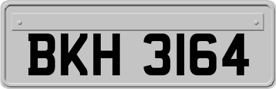 BKH3164