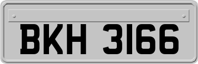 BKH3166