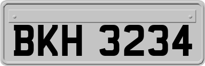 BKH3234