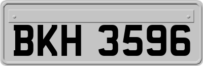 BKH3596