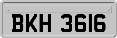 BKH3616