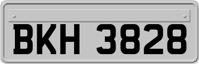BKH3828