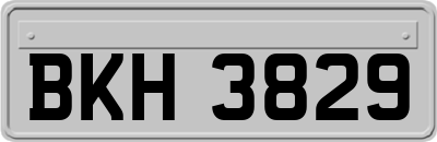 BKH3829