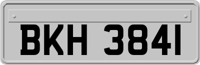 BKH3841