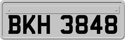 BKH3848