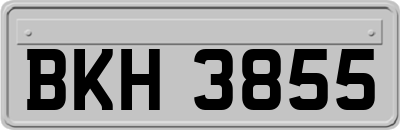 BKH3855