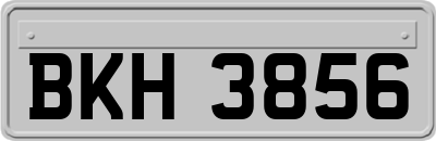 BKH3856