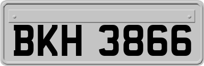 BKH3866
