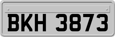 BKH3873