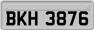 BKH3876