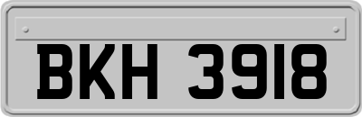 BKH3918