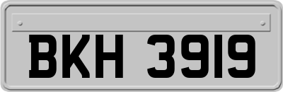 BKH3919