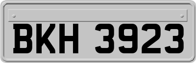 BKH3923