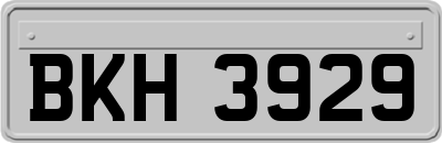 BKH3929