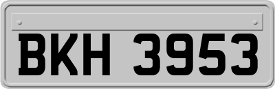 BKH3953