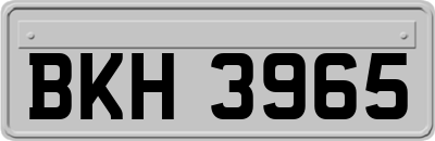 BKH3965