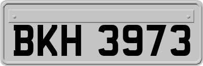 BKH3973