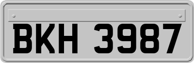 BKH3987