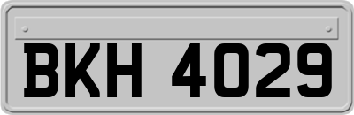 BKH4029
