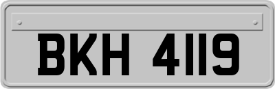 BKH4119