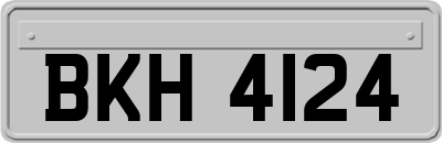 BKH4124