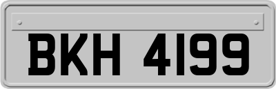 BKH4199
