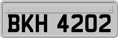 BKH4202